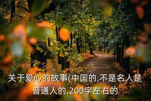 中國尤努斯,尤努斯穆薩技術特點