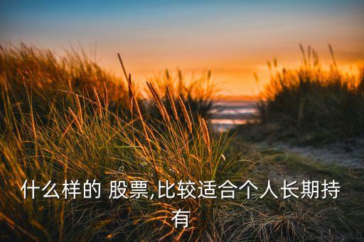 什么樣的 股票,比較適合個(gè)人長(zhǎng)期持有