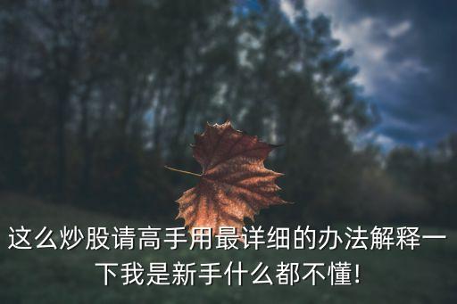 這么炒股請高手用最詳細的辦法解釋一下我是新手什么都不懂!