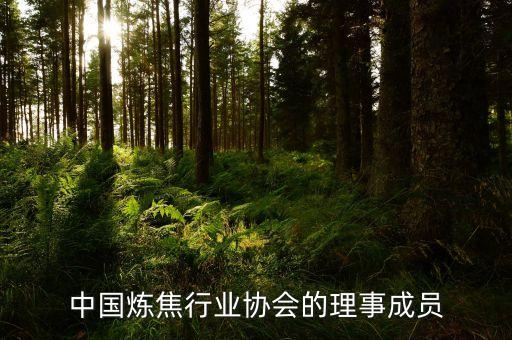 唐山新興焦化有限公司,唐山友利焦化有限公司曹建珍