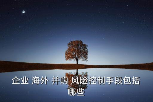 企業(yè) 海外 并購 風(fēng)險控制手段包括哪些