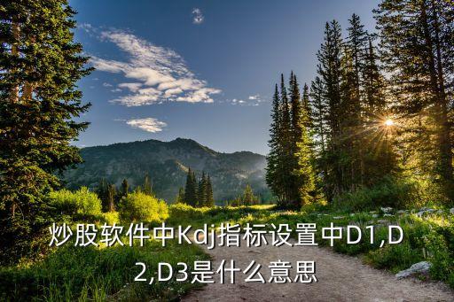 炒股軟件中Kdj指標(biāo)設(shè)置中D1,D2,D3是什么意思