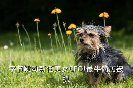 中國(guó)十大國(guó)際cfo