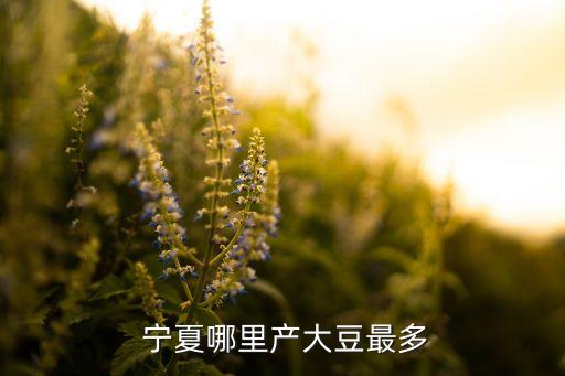 寧夏九天工貿(mào)有限公司,寧夏盛鑫浩達工貿(mào)有限公司