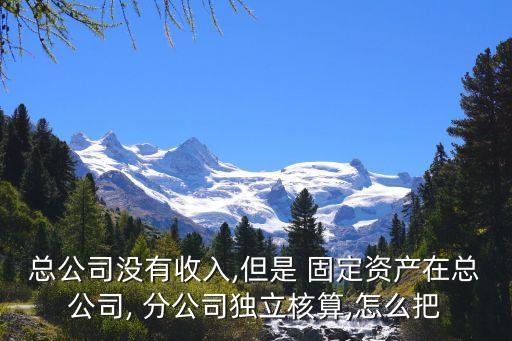 總公司沒有收入,但是 固定資產(chǎn)在總公司, 分公司獨立核算,怎么把