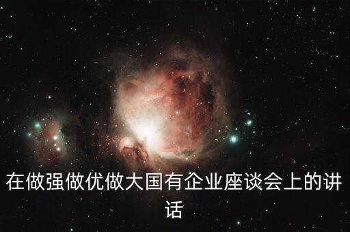 在做強(qiáng)做優(yōu)做大國有企業(yè)座談會(huì)上的講話