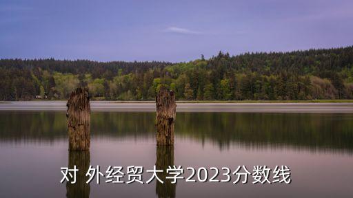 對(duì) 外經(jīng)貿(mào)大學(xué)2023分?jǐn)?shù)線