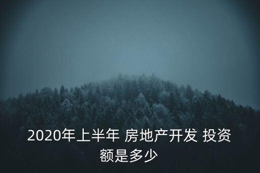 2020年上半年 房地產(chǎn)開發(fā) 投資額是多少