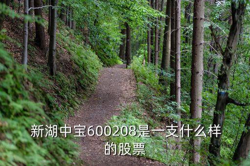  新湖中寶600208是一支什么樣的股票