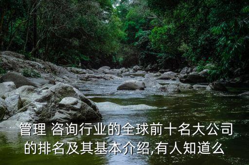  管理 咨詢行業(yè)的全球前十名大公司的排名及其基本介紹,有人知道么