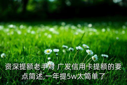 資深提額老手對(duì) 廣發(fā)信用卡提額的要點(diǎn)簡(jiǎn)述,一年提5w太簡(jiǎn)單了