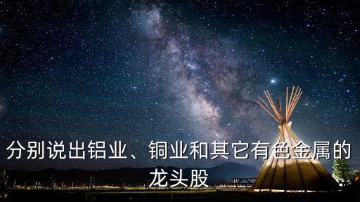 分別說出鋁業(yè)、銅業(yè)和其它有色金屬的龍頭股