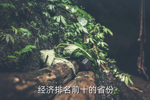  經(jīng)濟排名前十的省份