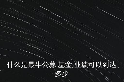 什么是最牛公募 基金,業(yè)績可以到達多少