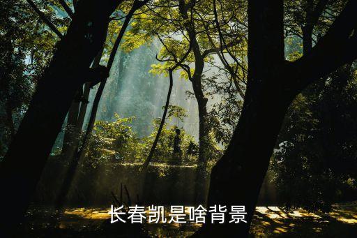 長(zhǎng)春凱是啥背景