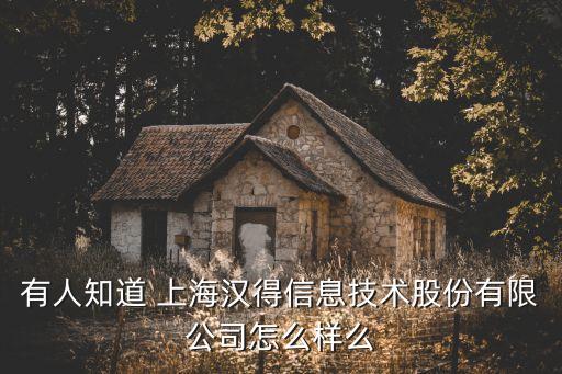 有人知道 上海漢得信息技術(shù)股份有限公司怎么樣么