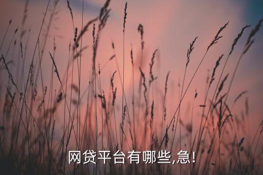 網(wǎng)貸平臺(tái)有哪些,急!