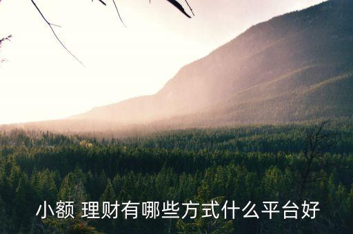  小額 理財(cái)有哪些方式什么平臺(tái)好