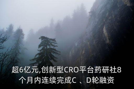 超6億元,創(chuàng)新型CRO平臺藥研社8個月內(nèi)連續(xù)完成C 、D輪融資