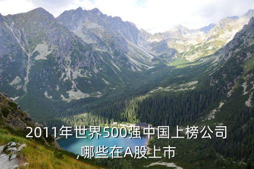 2011年世界500強中國上榜公司,哪些在A股上市