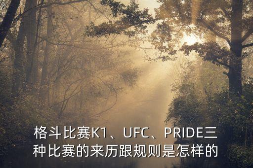 格斗比賽K1、UFC、PRIDE三種比賽的來(lái)歷跟規(guī)則是怎樣的