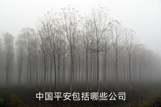 深圳市百協(xié)投資發(fā)展有限公司