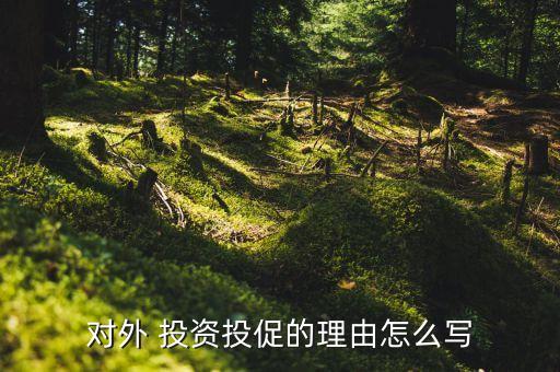 對(duì)外 投資投促的理由怎么寫