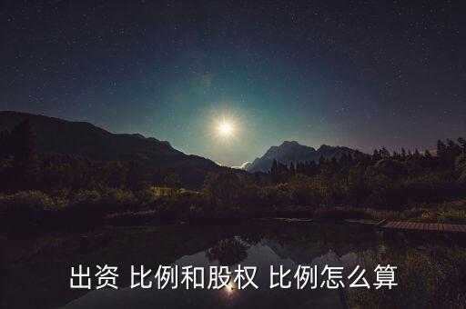 自然人投資比例怎么算,電子稅務局自然人投資比例