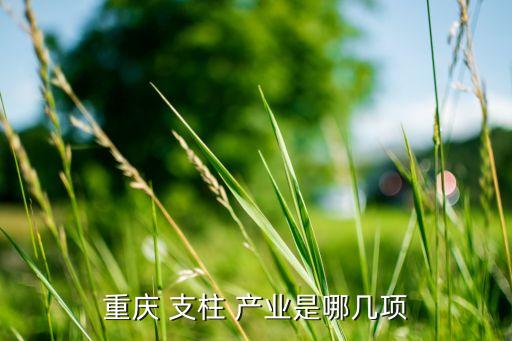 重慶 支柱 產(chǎn)業(yè)是哪幾項