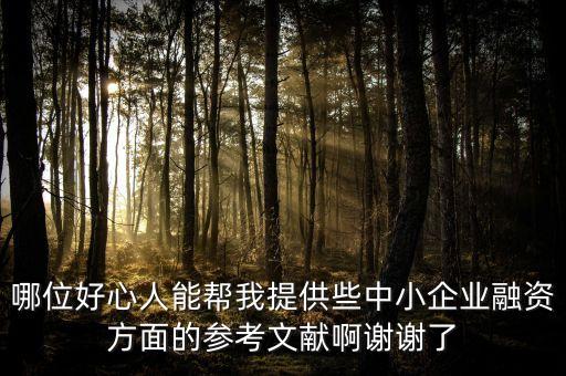 哪位好心人能幫我提供些中小企業(yè)融資方面的參考文獻(xiàn)啊謝謝了