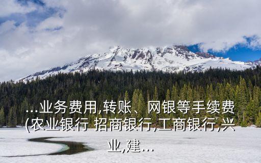 ...業(yè)務(wù)費(fèi)用,轉(zhuǎn)賬、網(wǎng)銀等手續(xù)費(fèi)(農(nóng)業(yè)銀行 招商銀行,工商銀行,興業(yè),建...