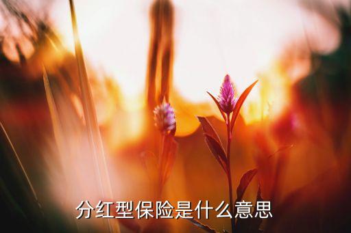 分紅型保險是什么意思