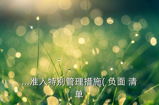 上海行業(yè)負(fù)面清單,負(fù)面清單行業(yè)是什么意思