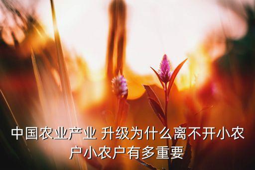 中國(guó)農(nóng)業(yè)產(chǎn)業(yè) 升級(jí)為什么離不開(kāi)小農(nóng)戶小農(nóng)戶有多重要