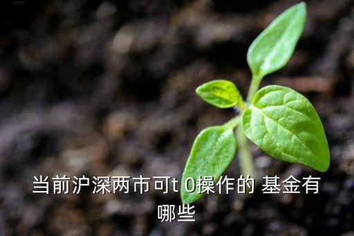 當前滬深兩市可t 0操作的 基金有哪些