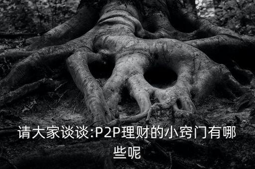 請大家談?wù)?P2P理財?shù)男「[門有哪些呢