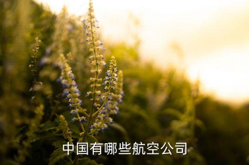 海航集團企業(yè)性質(zhì),平安集團企業(yè)性質(zhì)