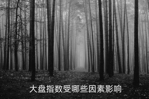  大盤指數(shù)受哪些因素影響