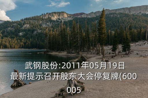  武鋼股份:2011年05月19日最新提示召開股東大會停復牌(600005