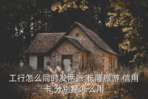 工行怎么同時(shí)發(fā)兩張 長(zhǎng)隆旅游 信用卡,分別是怎么用