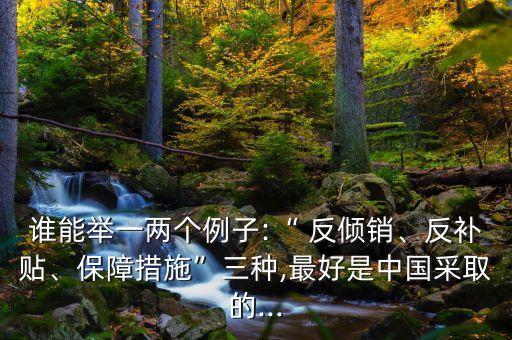 誰能舉一兩個例子:“ 反傾銷、反補貼、保障措施”三種,最好是中國采取的...