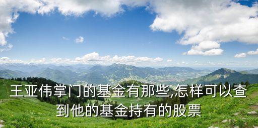 王亞偉掌門的基金有那些,怎樣可以查到他的基金持有的股票