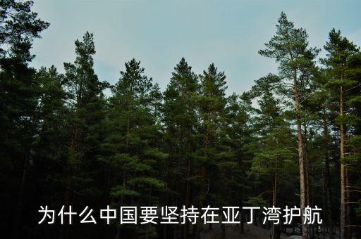 為什么中國(guó)要堅(jiān)持在亞丁灣護(hù)航