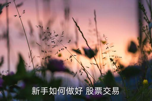 怎么做股票投資,專(zhuān)門(mén)做股票投資的公司