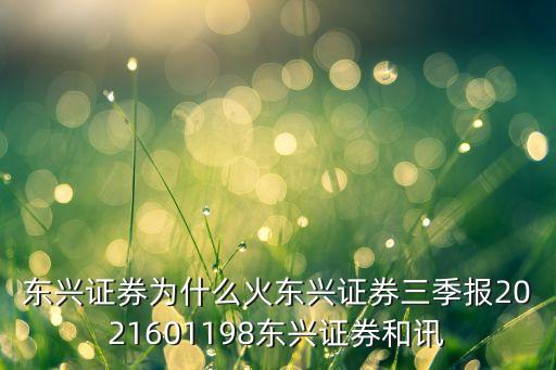 東興證券為什么火東興證券三季報(bào)2021601198東興證券和訊