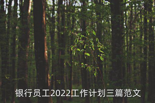  銀行員工2022工作計(jì)劃三篇范文