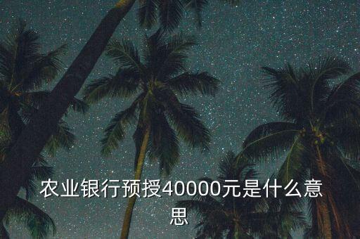  農(nóng)業(yè)銀行預(yù)授40000元是什么意思