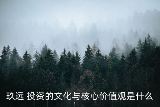 玖遠(yuǎn) 投資的文化與核心價值觀是什么