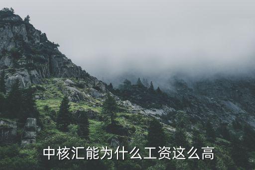  中核匯能為什么工資這么高