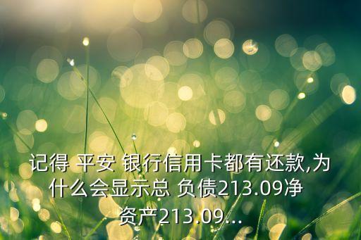 記得 平安 銀行信用卡都有還款,為什么會顯示總 負(fù)債213.09凈 資產(chǎn)213.09...